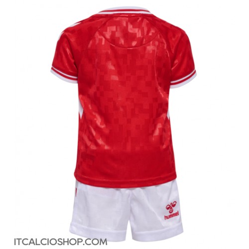 Danimarca Prima Maglia Bambino Europei 2024 Manica Corta (+ Pantaloni corti)